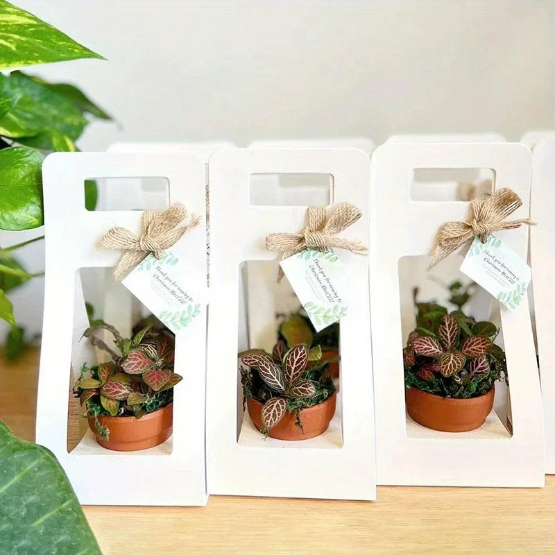 10 Set Succulent Wrap Gift Bags with Blank Tags and Strings, for Party Favors Succulent Flower Gift Wrapping Fits 2.4 Inch Pots