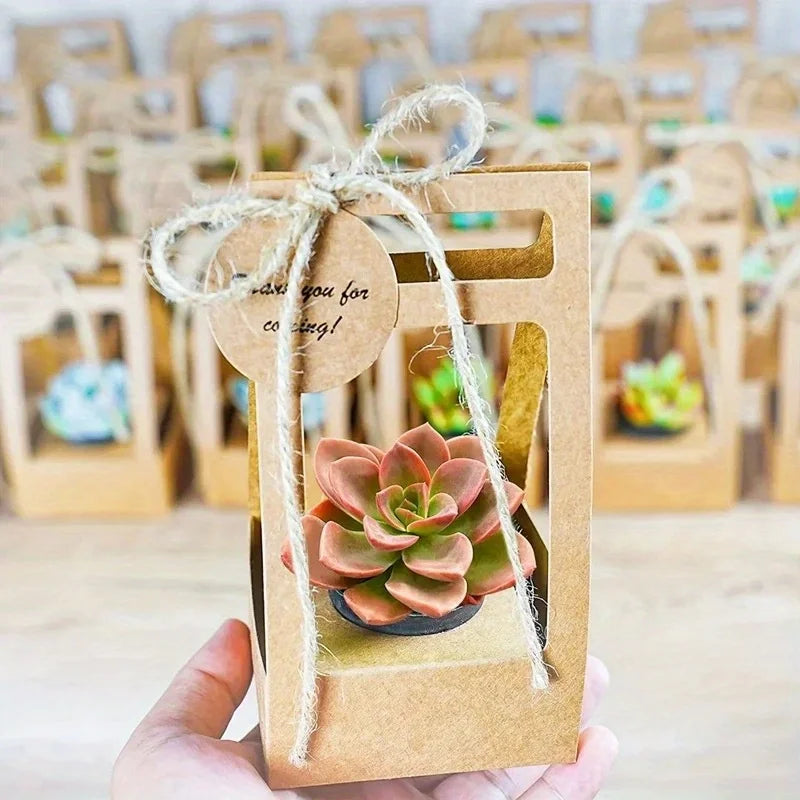 10 Set Succulent Wrap Gift Bags with Blank Tags and Strings, for Party Favors Succulent Flower Gift Wrapping Fits 2.4 Inch Pots