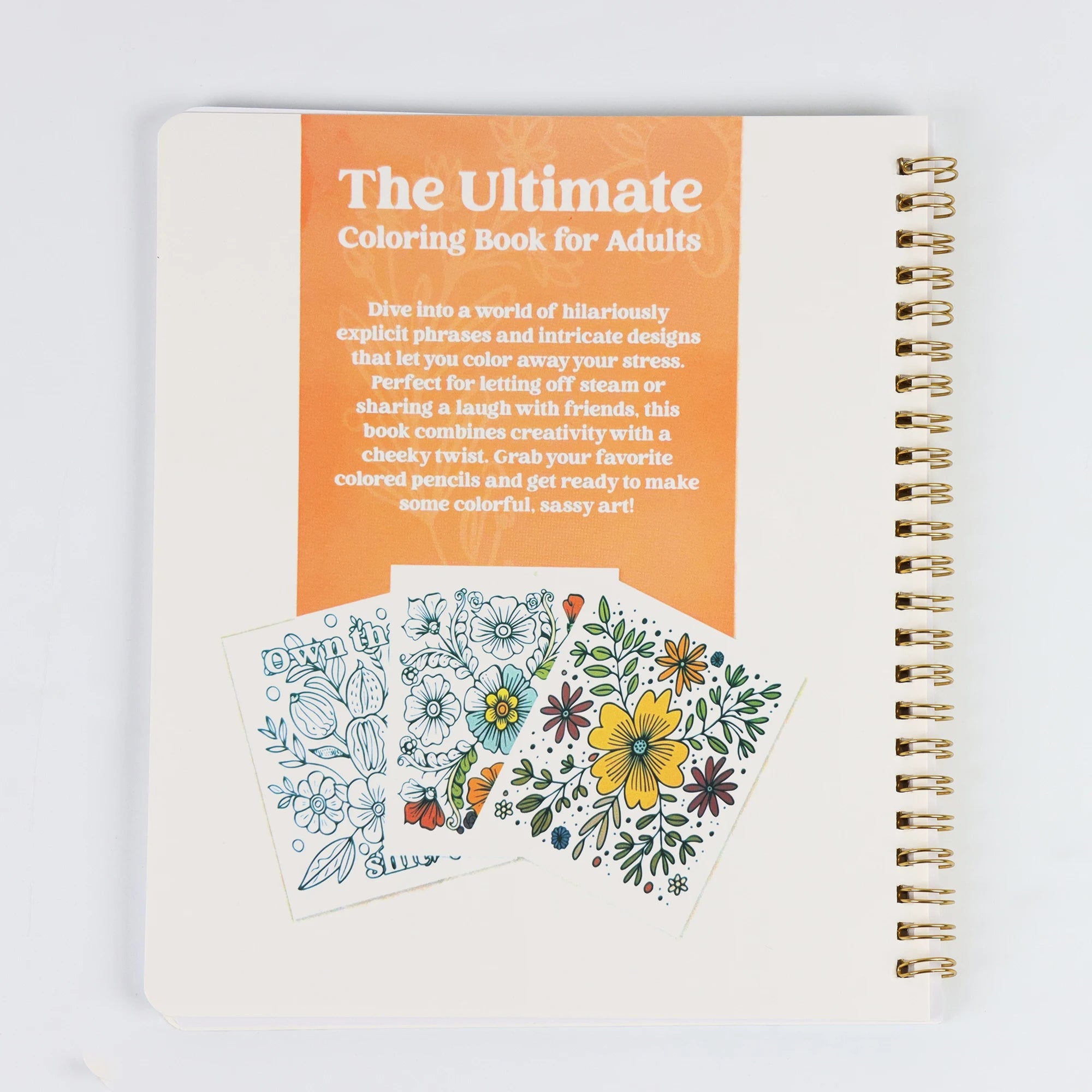 Beautiful Adult Coloring Book For Relaxation Funny Dirty Talk Coloring Book With Floral And Animal Patterns 31 Individual Pages