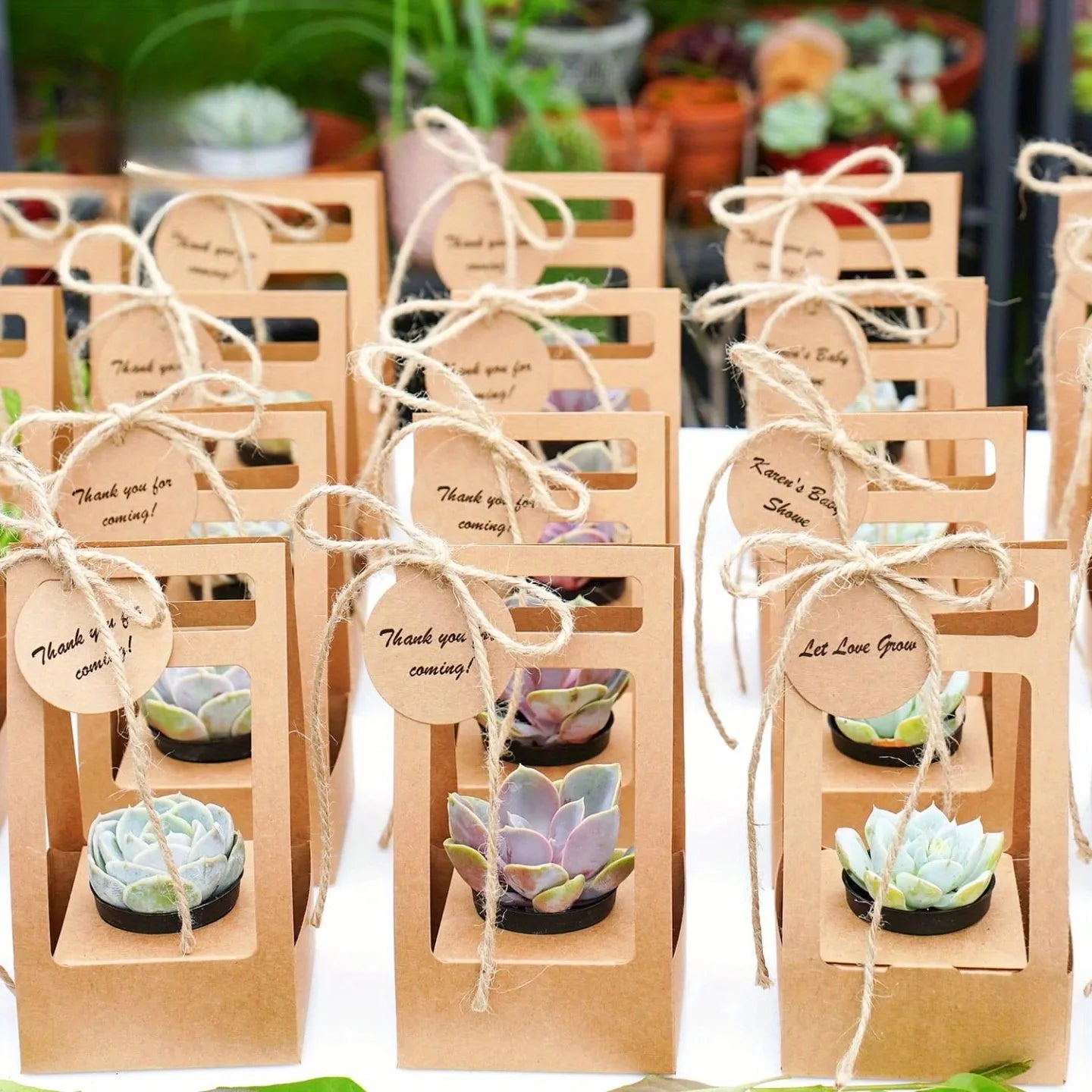 10 Set Succulent Wrap Gift Bags with Blank Tags and Strings, for Party Favors Succulent Flower Gift Wrapping Fits 2.4 Inch Pots