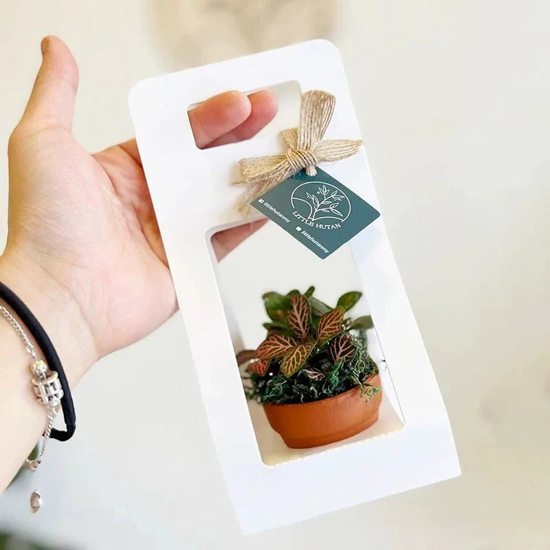 10 Set Succulent Wrap Gift Bags with Blank Tags and Strings, for Party Favors Succulent Flower Gift Wrapping Fits 2.4 Inch Pots