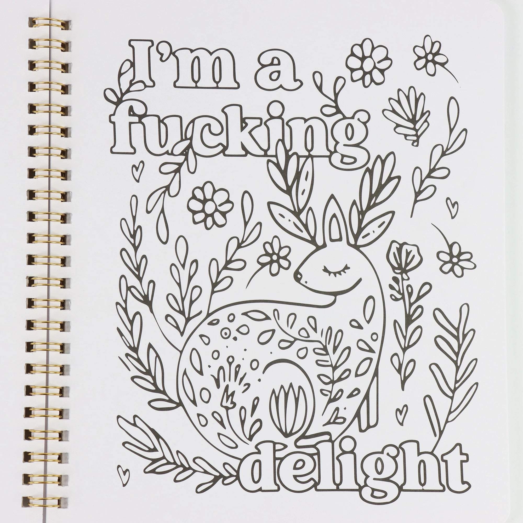 Beautiful Adult Coloring Book For Relaxation Funny Dirty Talk Coloring Book With Floral And Animal Patterns 31 Individual Pages