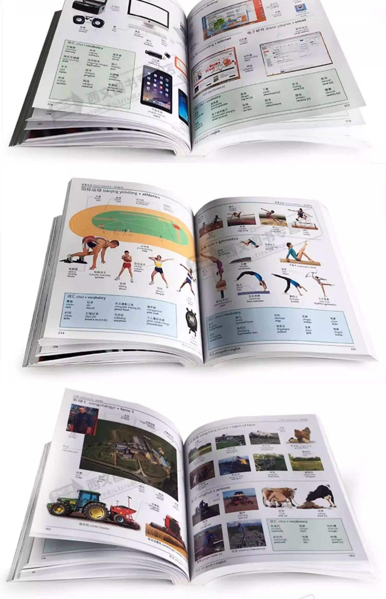New Dictionary English Chinese Japanese Korean Russian German French Portuguese Global Languages Color Illustrated Dictionary